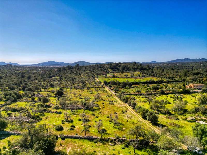 Grundstück-mit-Haus-in-Arta