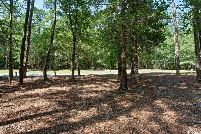View of yard featuring a wooded view
