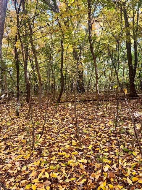 37D3F3F9-9D5F-4753-ABD1-7BA2628C534B