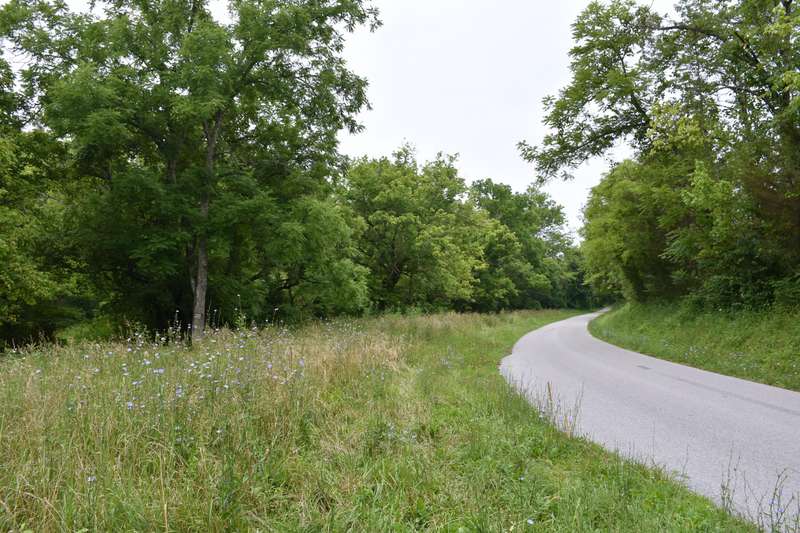 260+ Acres