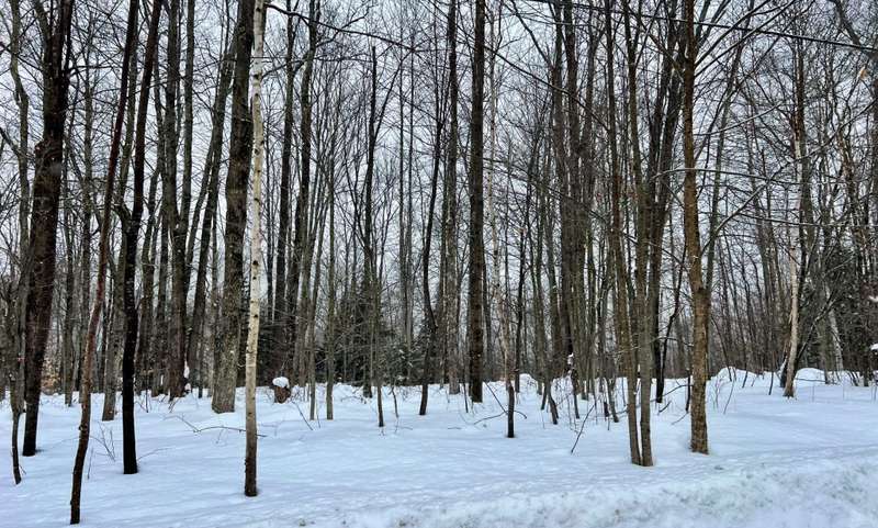Land/Lot