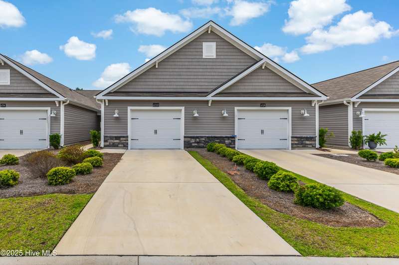 6530 Green Fennel-1-Edit