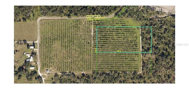31900159 Lot 2 (5.52 acres)