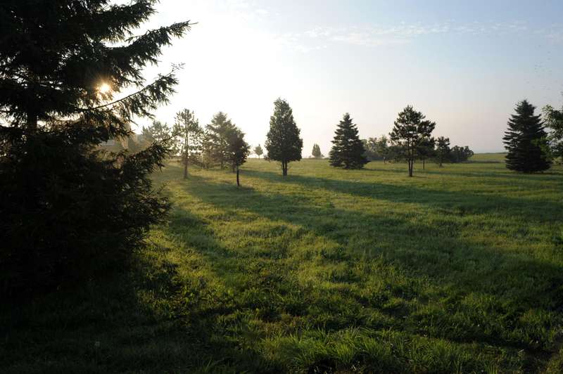 Photo A