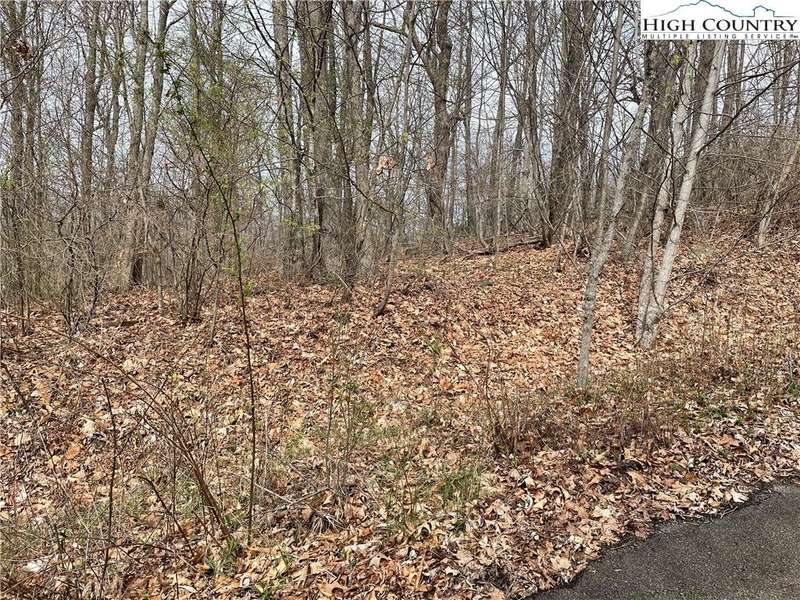 Gentle Sloping land.