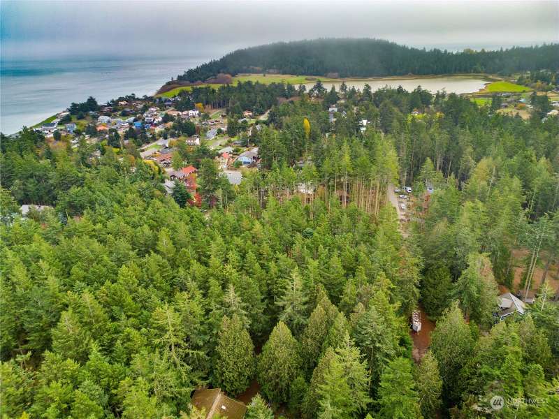 Lot is in center of the image. Fort Worden & the Salish Sea in the distance.