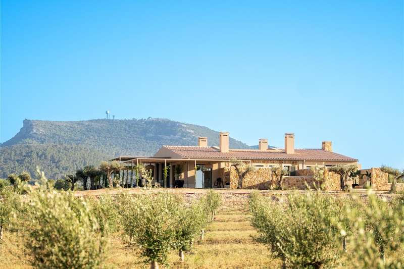 Luxus-Finca-in-Algaida-Mallorca