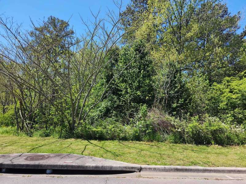 Lot 15 Derby Creek