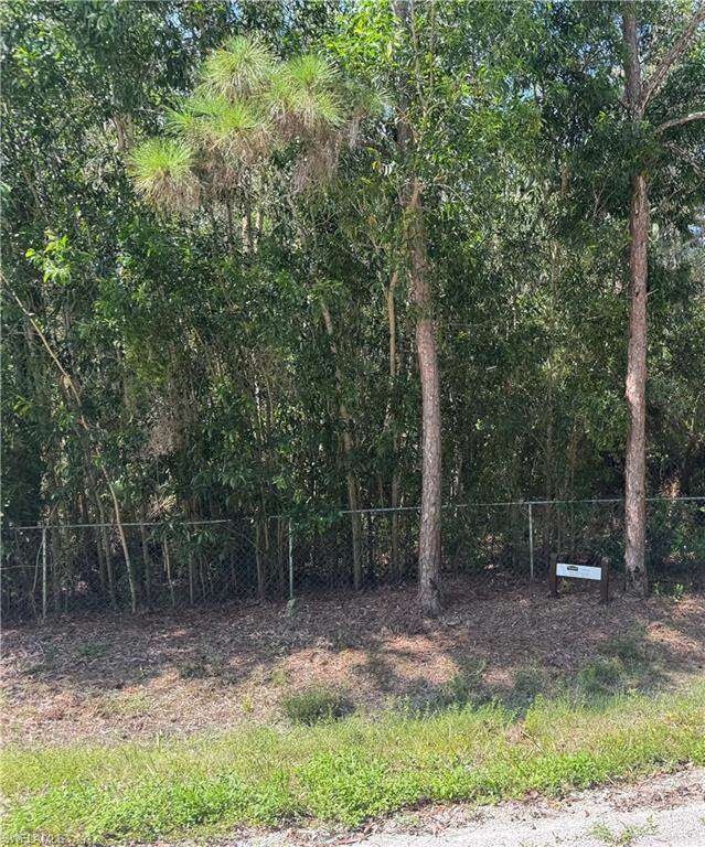 View of undeveloped land