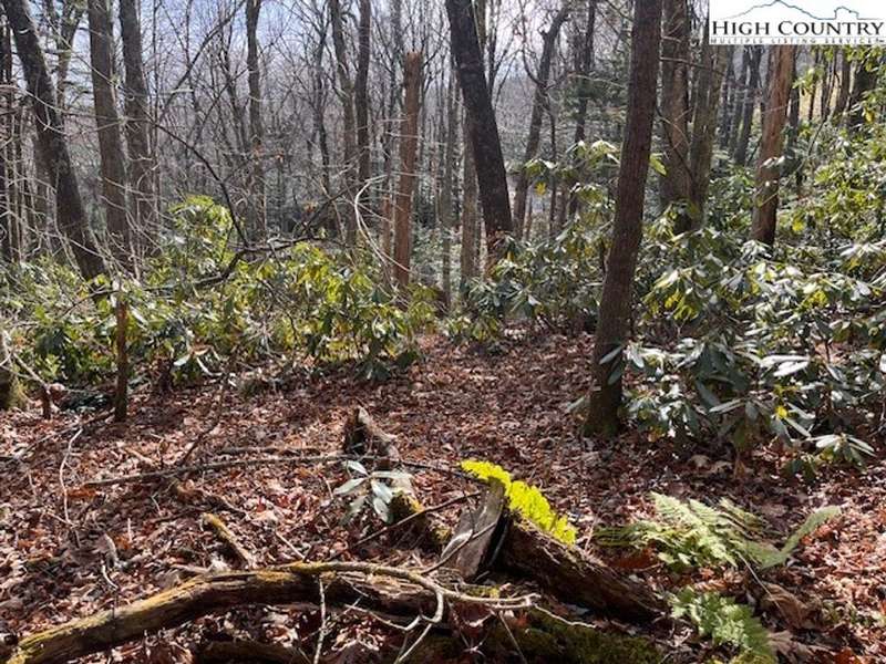 Lot view from Black Bear Trail