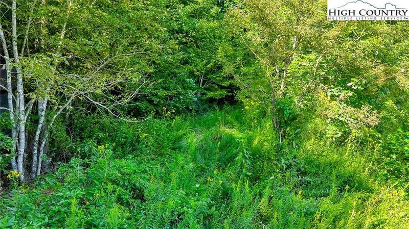 The old roadway is the easiest way to explore your