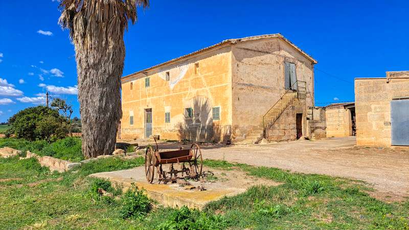 En-venta-gran-finca-con-casa-tradicional-posibilidad-de-reformar-y-construir-piscina-en-Manacor