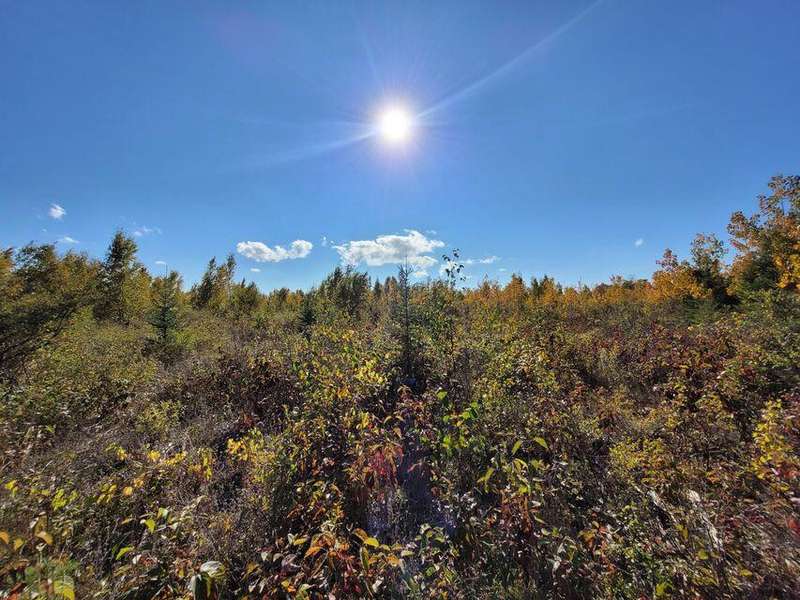 20230929020621209204000000-o