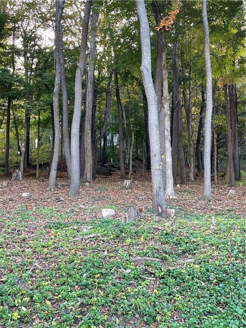 View from bottowm of lot D