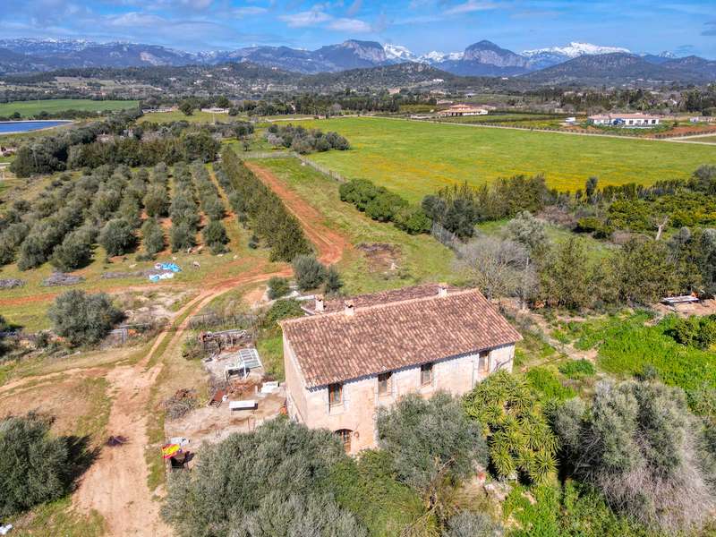 FINCA-CONSELL