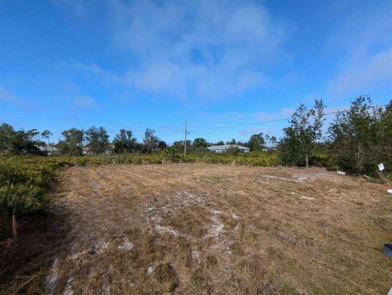 80' x 125' lot scrubbed clear!