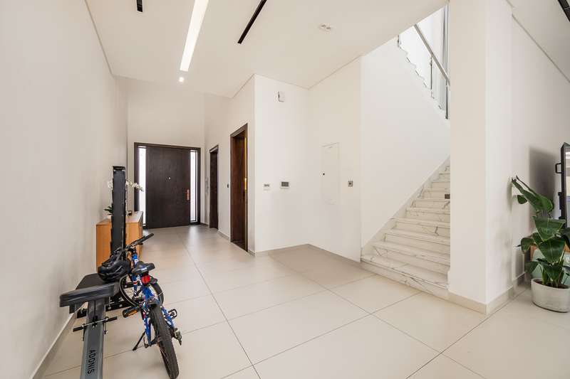 images image img
