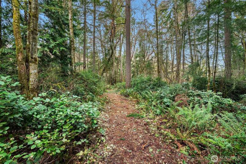 Well head on the southwestern portion of the property.