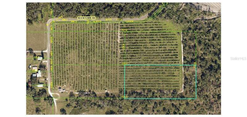 31900209 Lot 4 is (5.54 acres)