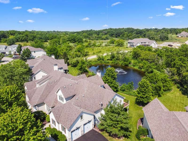 Pond Views