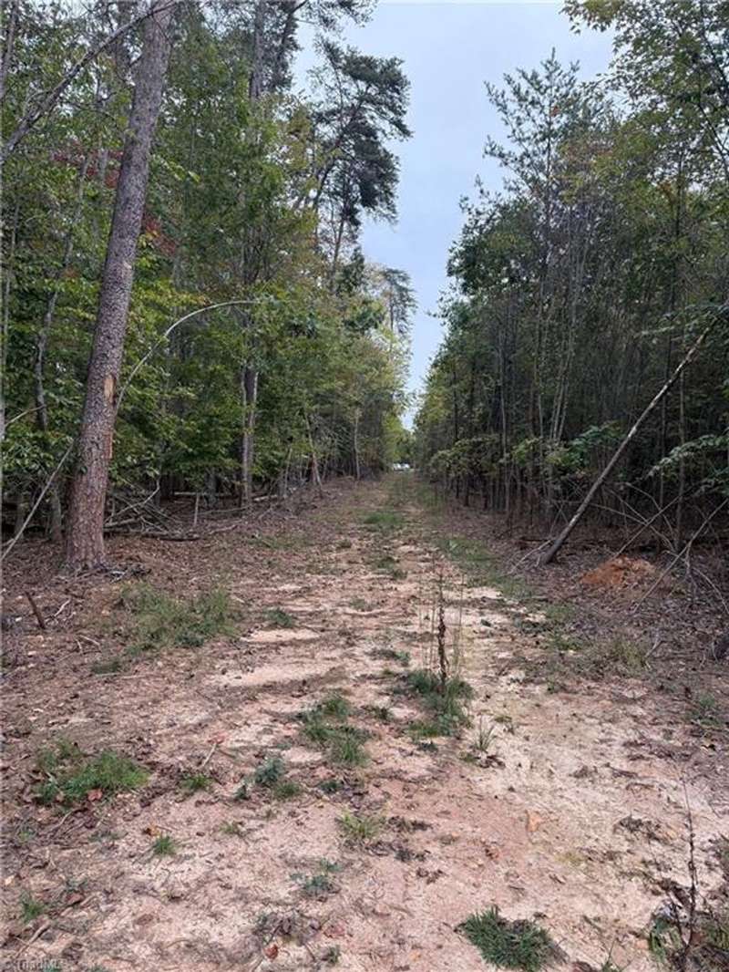 Driveway view towards road