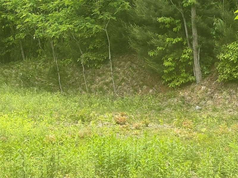 Flat cleared area on lot