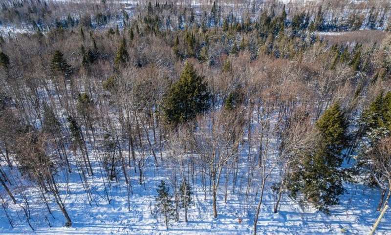 Land/Lot