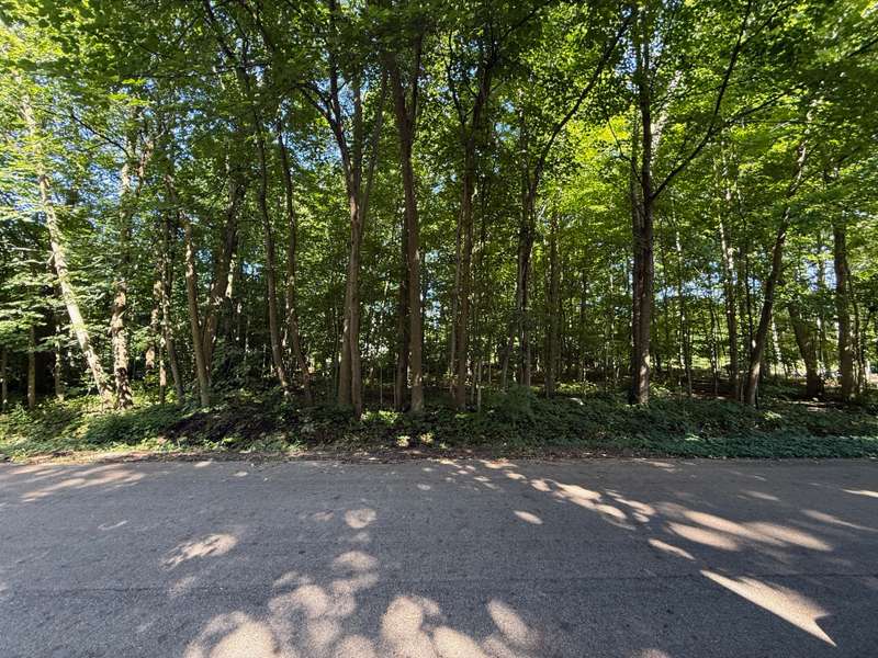 ,5 Acre Wooded Lot