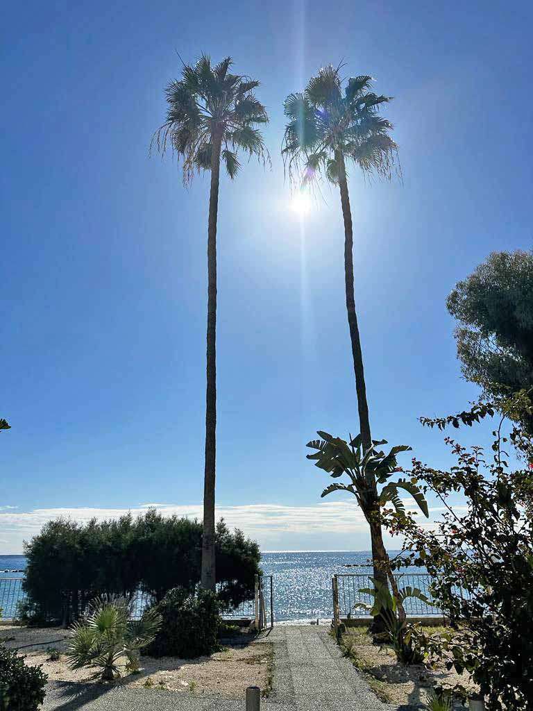 Beachfront Apartment Image