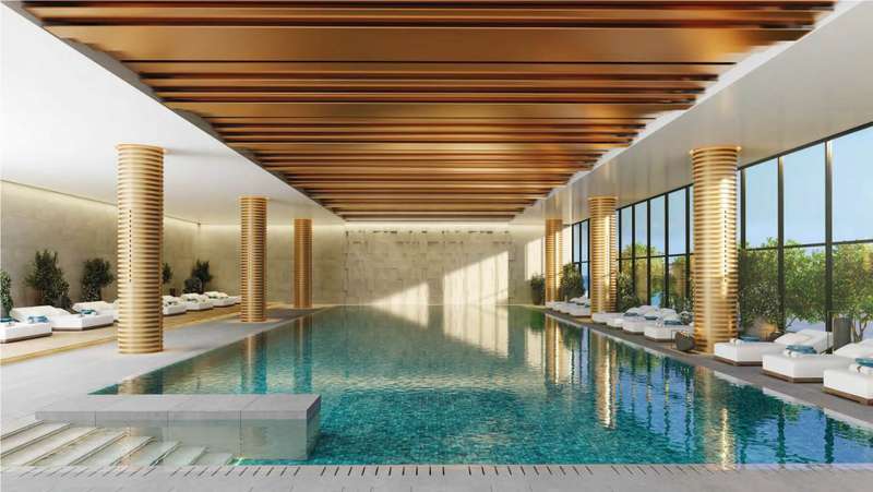 Phenomenal Project Image