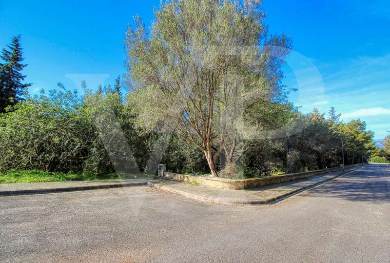 Inversión, venta de parcela urbana en esquina con muy buena orientación en Bonaire / Alcudia