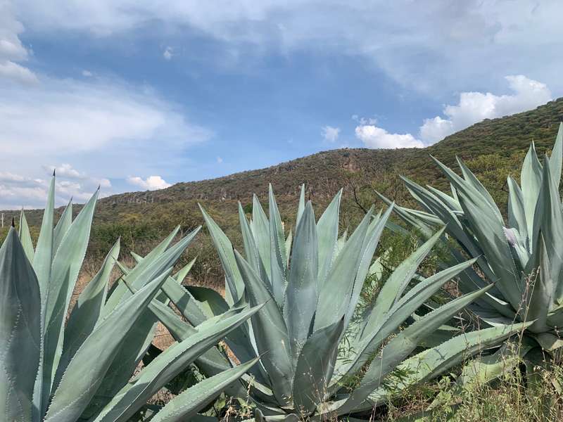 Lote Cañada De Leones