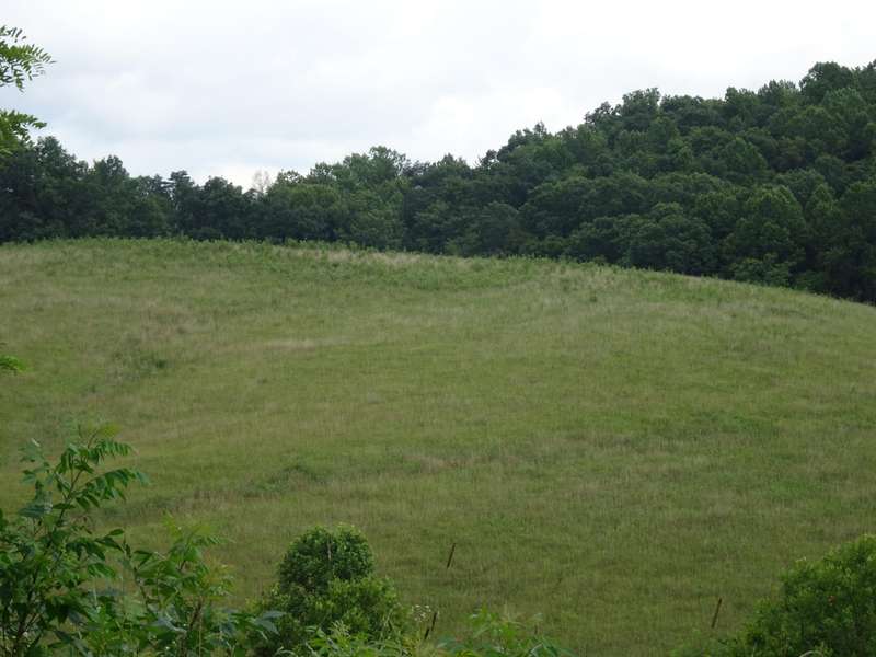 DSC00525
