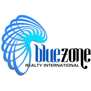 Blue Zone Realty International Logo
