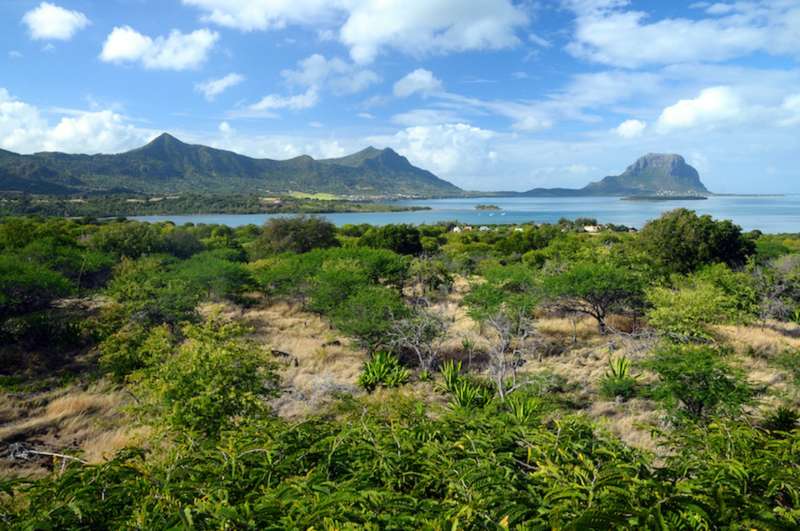 Vue_sur Le Morne.jpg