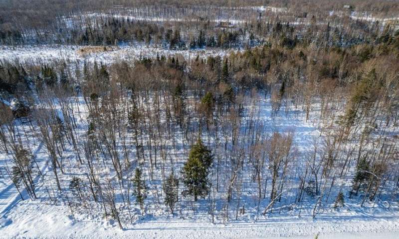 Land/Lot