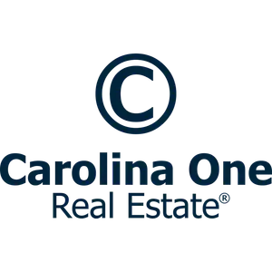 Carolina One Real Estate Logo