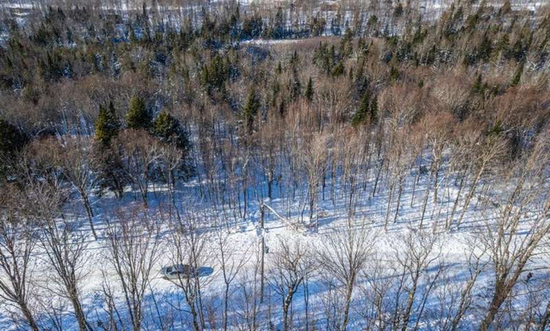 Land/Lot