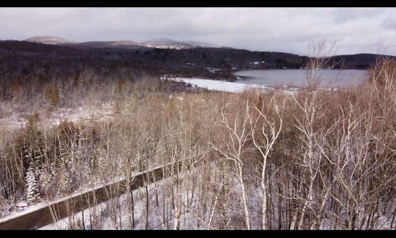 View