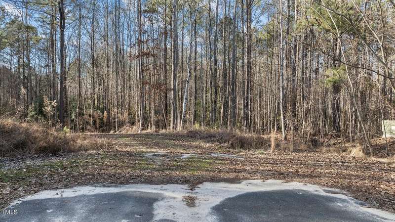 1-web-or-mls-DJI_0863