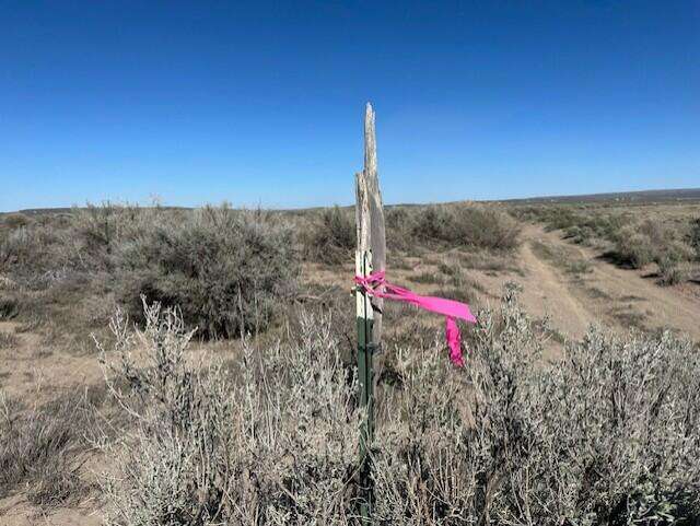 SW Corner