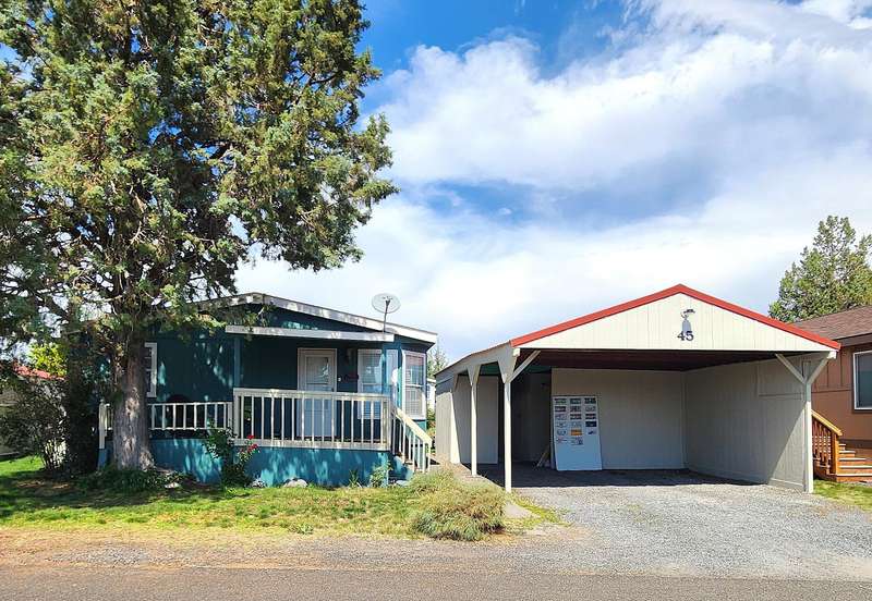 Welcome to Mt View #45!