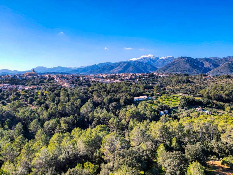 Preciosa-finca-rústica-con-licencia-obra-aprobada-para-construir-casa-y-piscina-en-Campanet