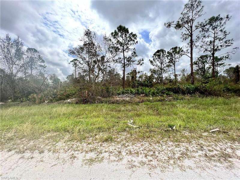 View of local wilderness