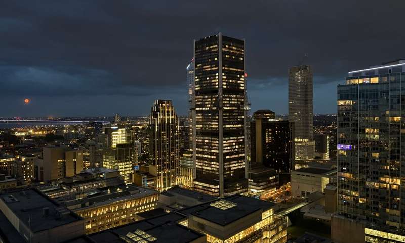 View