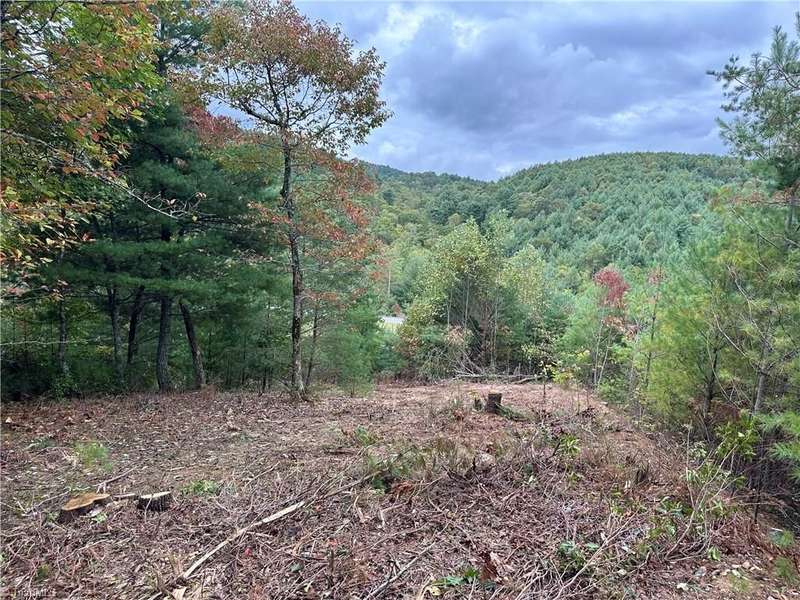 Mountain views and cleared areas