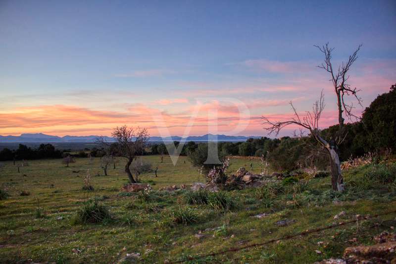 fantástica-rústica-con-una-excelente-ubicación-en-manacor-en-la-sierra-de-llevant