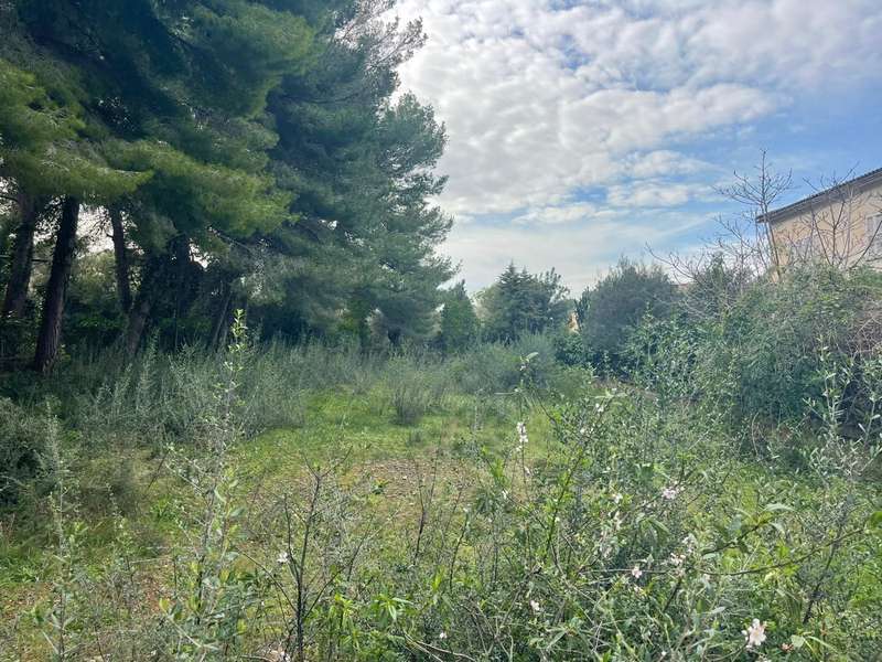 Baugrundstück-für-Villa-mit-Pool-auf-Bonaire-Alcudia