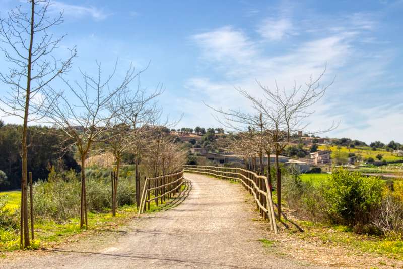 Zu-verkaufen-schöne-Immobilie-Villa-Pool-in-San-Lorenzo-des-Cardessar