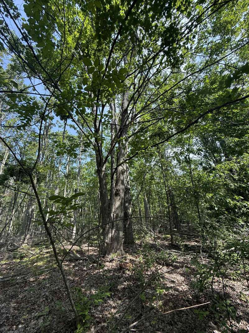 35d10d5f-7347-49e7-9930-65acc3